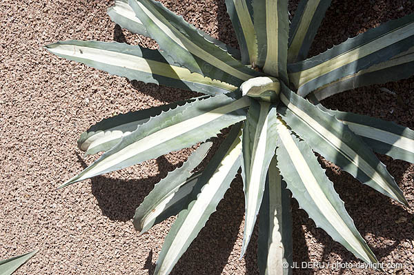 Marrakech